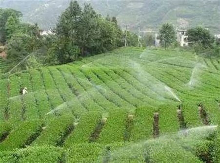 智能灌溉 自动灌溉 园林灌溉