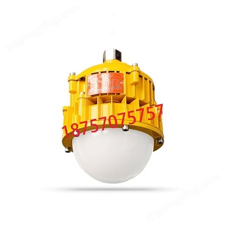 BPC8766 LED 防爆平台灯 海洋王BPC8766 50W