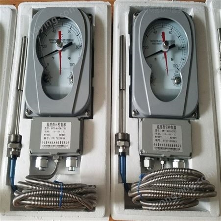电厂变压器油面温控器BWY-803AA(TH)厂家