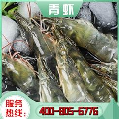 嘉汇荣 青虾规格报价 青虾产地货源