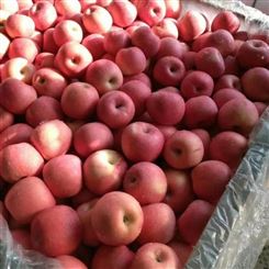 南京市苹果 红富士苹果 工厂新鲜水果 品质保障宏远果蔬