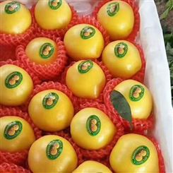 枣庄市规格黄金油桃批发 新鲜水果 宏远果蔬 现货出售